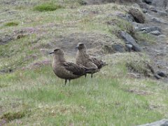2016-06-18_-_15-23-48_-_IMG_7725_-_by_Sylvie_Canon_Powershot_SX200