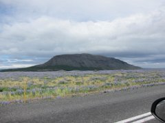2016-06-19_-_13-00-23_-_IMG_6616_-_by_Isabelle_Canon_Powershot_S95