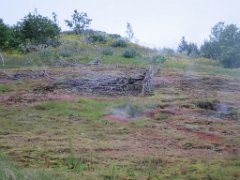 2016-06-19_-_20-51-22_-_IMG_6669_-_by_Isabelle_Canon_Powershot_S95