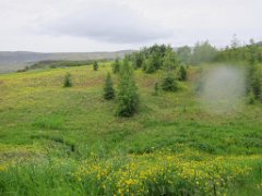 2016-06-19_-_20-53-57_-_IMG_6672_-_by_Isabelle_Canon_Powershot_S95