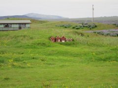 2016-06-20_-_11-39-44_-_IMG_6683_-_by_Isabelle_Canon_Powershot_S95