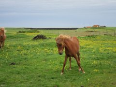 2016-06-20_-_11-53-28_-_IMG_6695_-_by_Isabelle_Canon_Powershot_S95