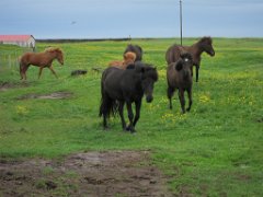 2016-06-20_-_11-53-38_-_IMG_6696_-_by_Isabelle_Canon_Powershot_S95
