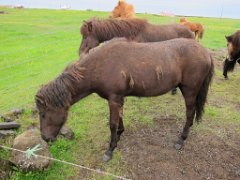 2016-06-20_-_11-57-02_-_IMG_6702_-_by_Isabelle_Canon_Powershot_S95