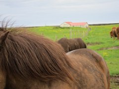 2016-06-20_-_11-59-57_-_IMG_6710_-_by_Isabelle_Canon_Powershot_S95