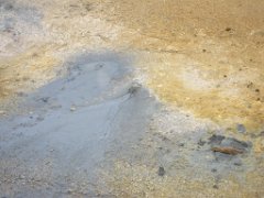 2016-06-20_-_12-48-27_-_IMG_6739_-_by_Isabelle_Canon_Powershot_S95