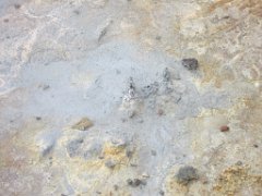 2016-06-20_-_12-49-06_-_IMG_6742_-_by_Isabelle_Canon_Powershot_S95
