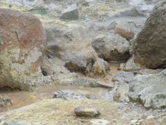 2016-06-20_-_12-57-21_-_IMG_7858_-_by_Sylvie_Canon_Powershot_SX200
