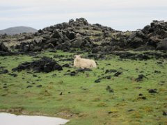 2016-06-20_-_14-14-00_-_IMG_6797_-_by_Isabelle_Canon_Powershot_S95