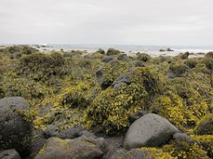 2016-06-20_-_14-23-19_-_IMG_6806_-_by_Isabelle_Canon_Powershot_S95