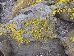 2016-06-20_-_14-27-14_-_IMG_6812_-_by_Isabelle_Canon_Powershot_S95