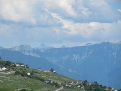 2016-06-29 _ 17-33-47 - IMG_7929 - by Sylvie (Canon)
