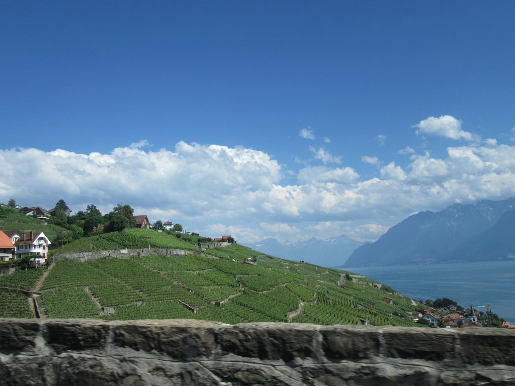2016-07-01 _ 16-14-58 - IMG_0087 - by Sophie.JPG