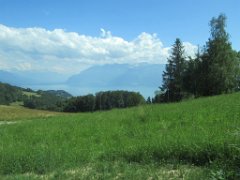 2016-07-01 _ 16-03-09 - IMG_0084 - by Sophie