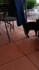 07-08-A_Ouchy