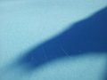20130125_121706