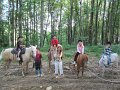IMG_0523