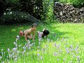 IMG_1871-OMI-05