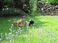 IMG_1871