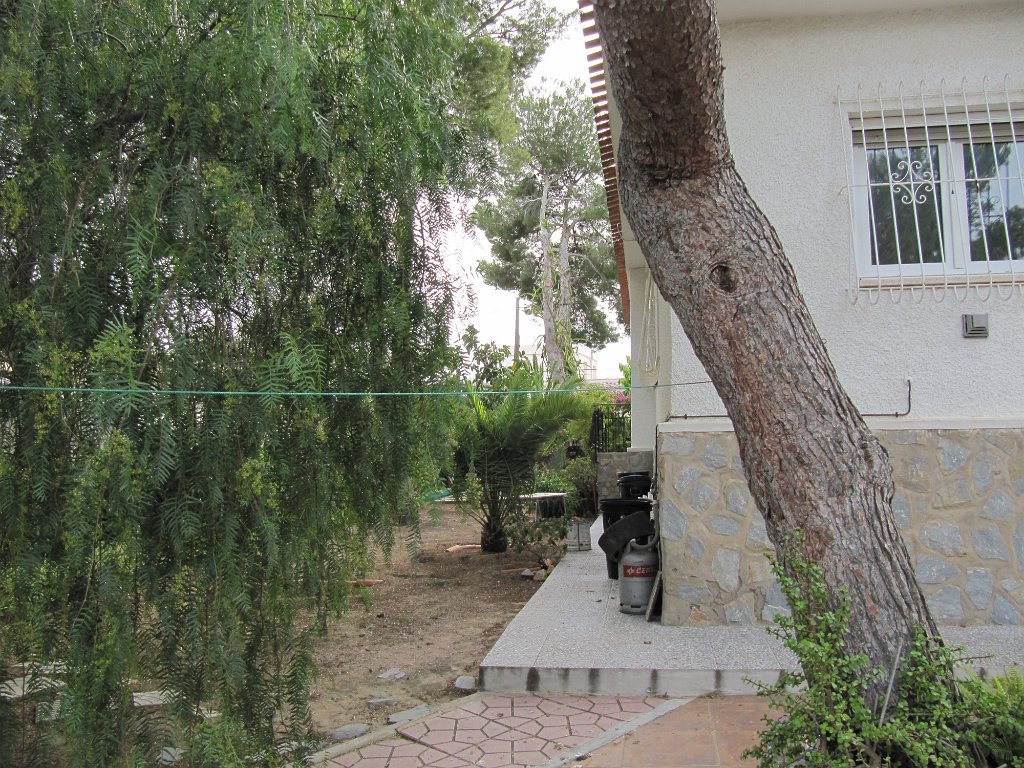 IMG_0314.JPG