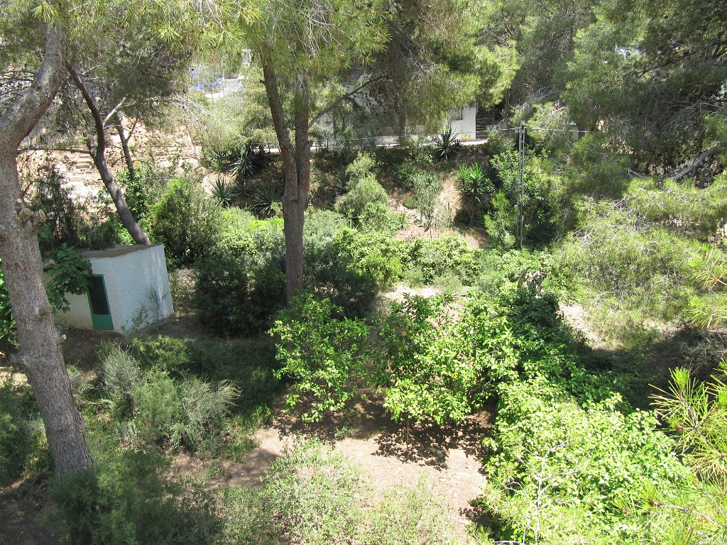 IMG_0378.JPG