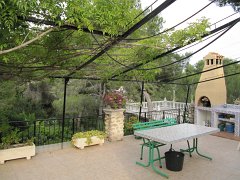 IMG_0310