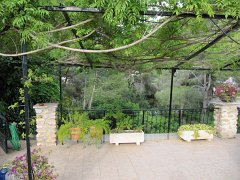 IMG_0311