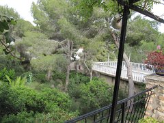 IMG_0312