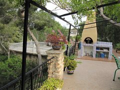 IMG_0313