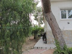 IMG_0314