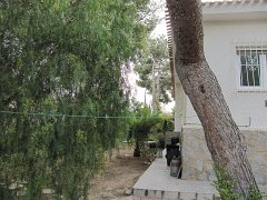 IMG_0315