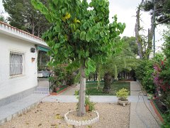 IMG_0343