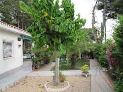 IMG_0344