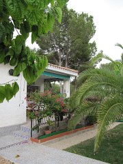 IMG_0345