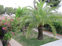 IMG_0346