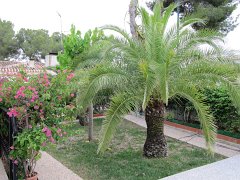 IMG_0347