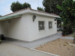 IMG_0350