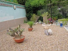 IMG_0351