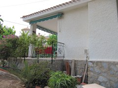 IMG_0355