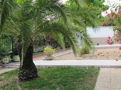IMG_0357