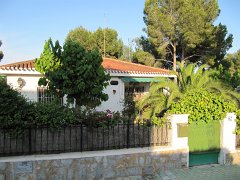 IMG_0362