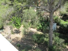 IMG_0379