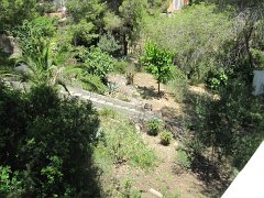 IMG_0380