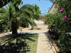 IMG_0384