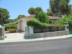IMG_0388