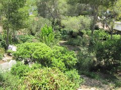 IMG_0390