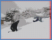 Titre : belle rigolade - Description : enfants neigeux
